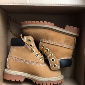 Timberland premium 6in Waterproof wheat nubuck